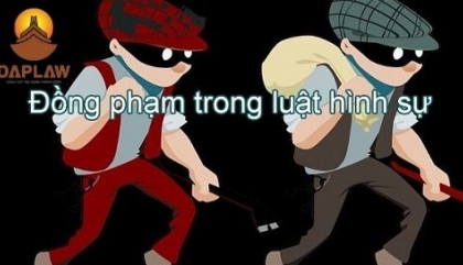 HIỂU THẾ NÀO LÀ ĐỒNG PHẠM THEO QUY ĐỊNH CỦA LUẬT HÌNH SỰ HIỆN NAY?